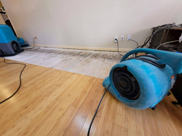Professional Emergency Water Damage technician working in Cordova, AL